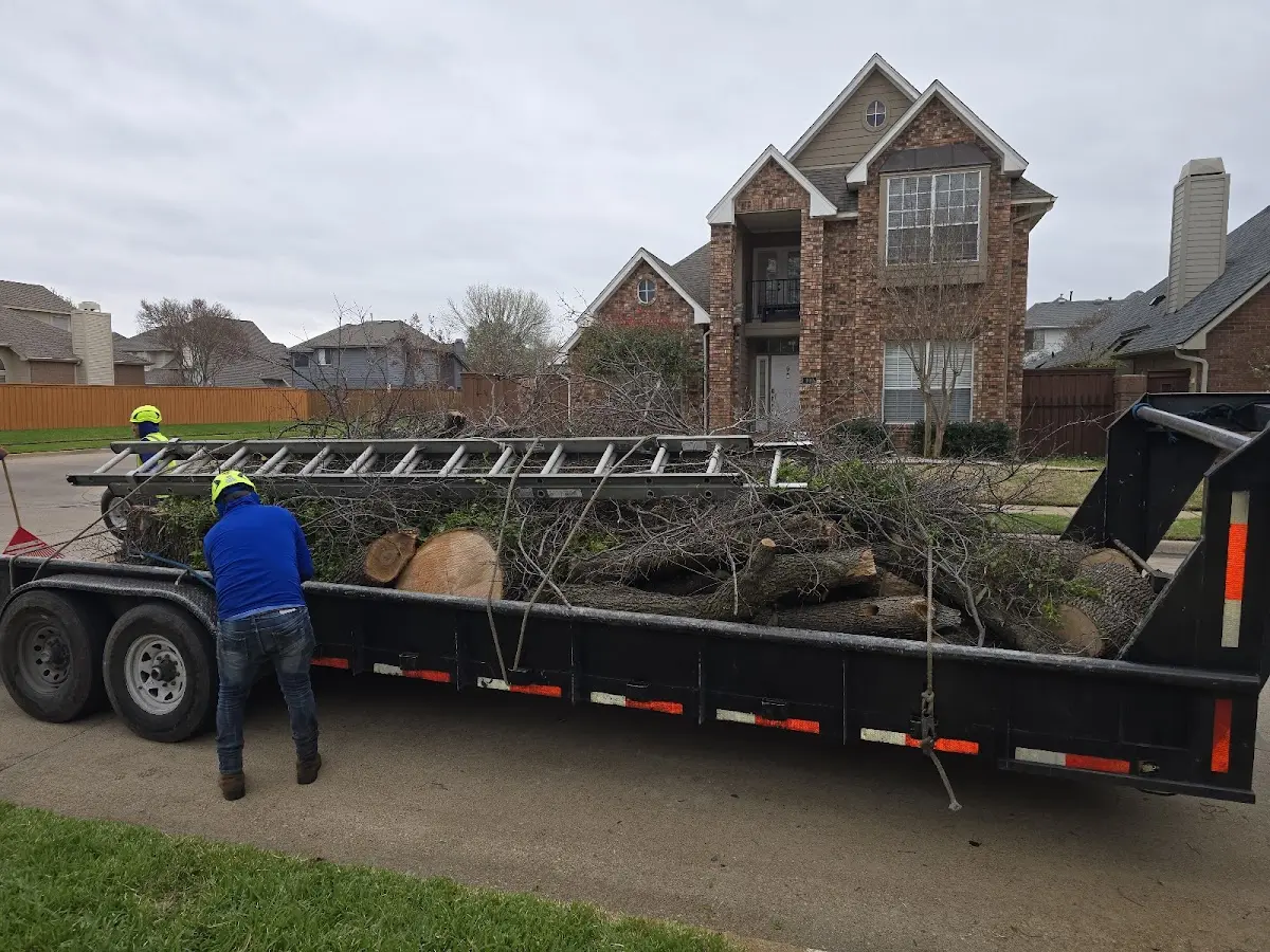 Expert Tree Removal with proper safety equipment in Whitefish